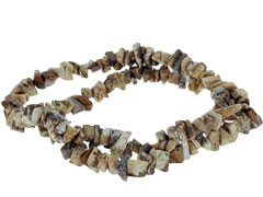 CHIP-JASPER