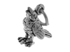 CHSS-AN-BIRD