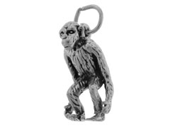 CHSS-AN-CHIMP