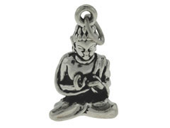 CHSS-RE-BUDHA