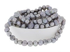 FWP-NG-5LT-GREY