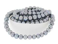 FWP-PT-5LT-GREY