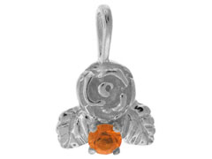 PDSS-ROSE-11