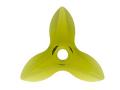 6906 - Orchid