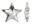 Swarovski 20mm Star