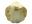 28mm Shell