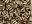 3mm Bugle Bead
