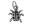 Charms Pendants Sterling Charm