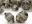 Czechoslovakian Czech Crystals Beads Preciosa Preciosa 5mm Spacer