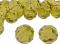 5000-4-LIME