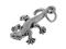 CHSS-AN-GECKO