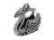 CHSS-AN-SWAN