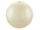 5810-10-LT-GOLD-1FP