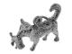 CHSS-AN-CAT-B