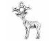 CHSS-AN-DEER