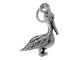 CHSS-AN-PELICAN
