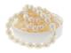 FWP-RC-4WH