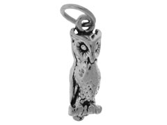 CHSS-AN-OWL