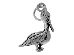 CHSS-AN-PELICAN
