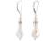 Crystal Drop Earrings