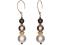 Shimmering Elegance Earrings